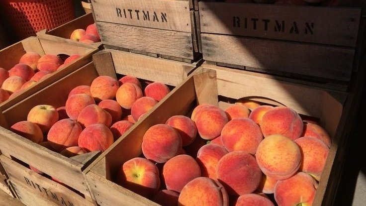 𝙳𝚊𝚛𝚔 𝚊𝚌𝚊𝚍𝚎𝚖𝚒𝚊 𝚍𝚛𝚎𝚊𝚖𝚜 tweet media