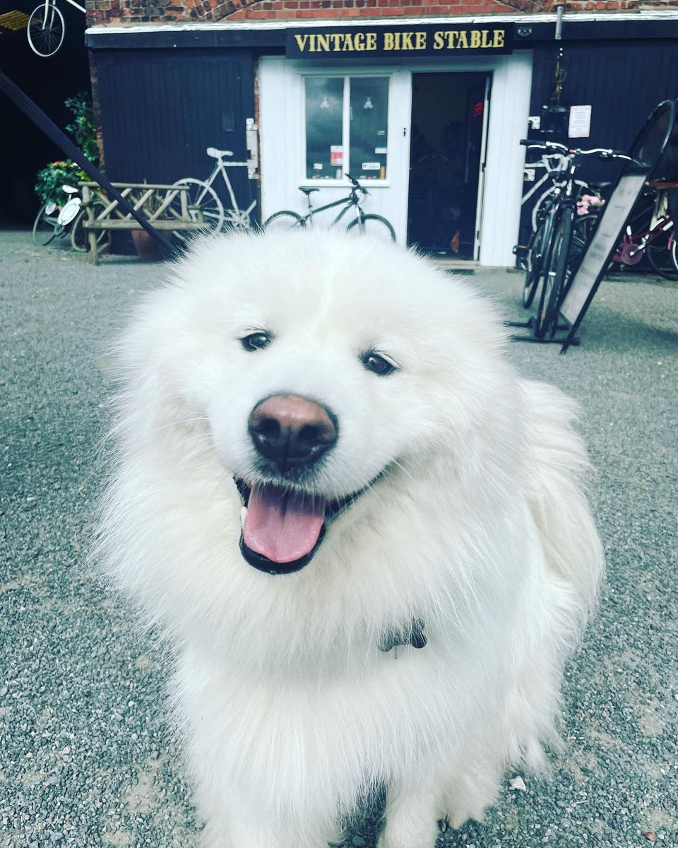 St Helens Star tweet media