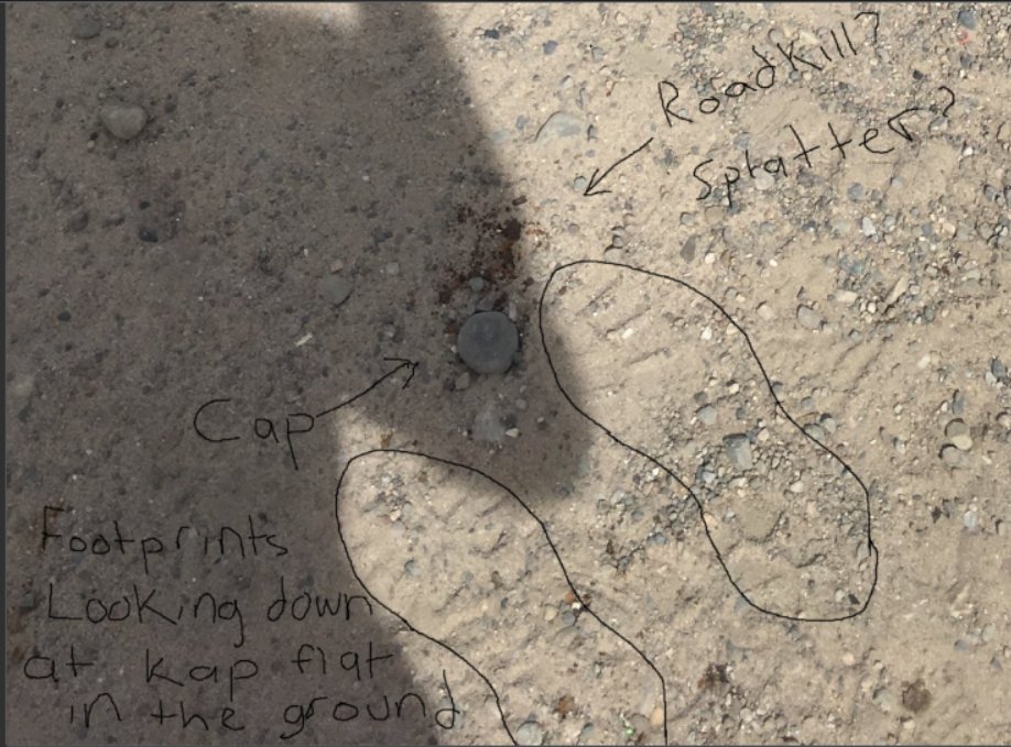 This Tom hanks post still fucks with me about Isaac Kappys death and Tom hanks post about Roadkill on route 66.  he or someone else stood over the cap thats flat into the ground and looks like it has a splatter trail similar to road kill. And Kappy 'fought people to jump off a…