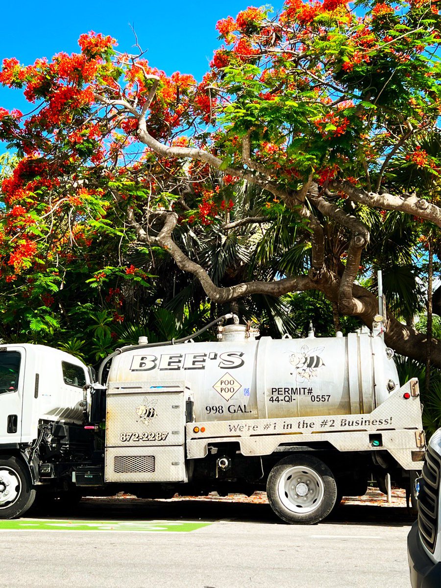 bobbydevito's tweet photo. It’s a dirty business. 998 gallons of poo in the truck, 998 gallons of poo 😳
#keywest #KWAF https://t.co/f7Lzgo01W7