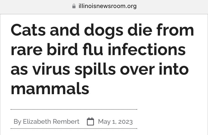 LauraMiers's tweet image. This is quietly occurring in the United States amid no media coverage and no public awareness.