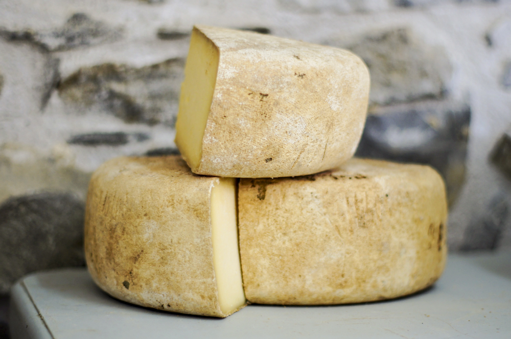 DairyWest's tweet photo. There's over 1,800 variations of cheeses. Yet, the process of producing cheese is relatively the same. So what allots for the differences and how do cheesemakers keep uniformity and make consistent products? Take a deep dive into cheesemaking at https://t.co/qygkhAaTAW
#Cheese https://t.co/e3aLOcrBct