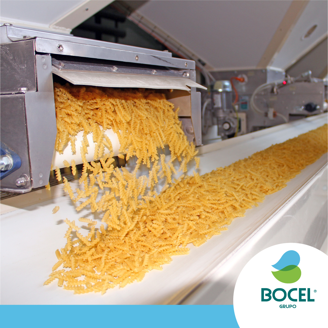 Grupo Bocel tweet media
