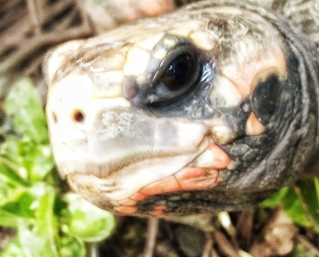 @legramos tweet media