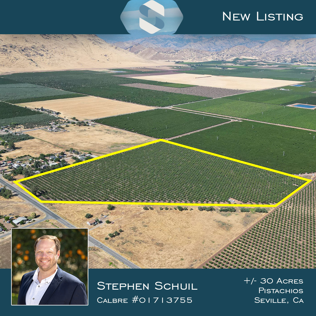 •NEW LISTING!• schuil.com/property/30-ac…

#SchuilAgRealEstate #AgricultureAndFarming  #AgRealEstate #CaliforniaAgriculture #LandForSale #MyJobDependsOnAg #CaliforniaFarmsAndRanches #FarmLand #FarmsForSale #CAFarmsForSale #AgriBusiness #LandInvestment 

CalBRE: 00845607