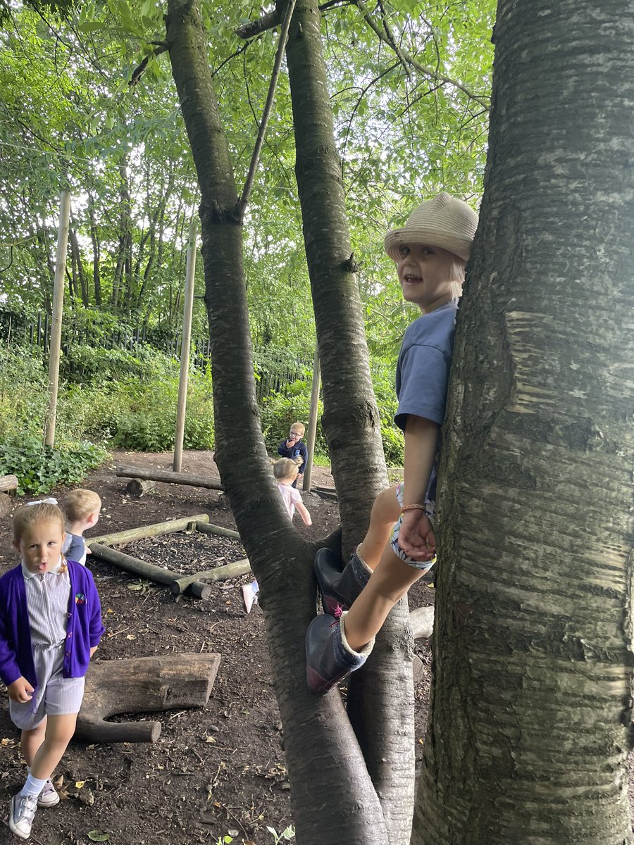 Year N/PN Garston (@yngarston) on Twitter photo Some of our children decided to climb the trees in Forest School today just like how Jack climbed the beanstalk. “Miss look, I’m going to look for the giant’s golden treasure” <a href="/RainbowEduMAT/">Rainbow Education MAT</a> <a href="/GarstonCE/">GarstonCE</a> <a href="/MissNesbitREMAT/">Miss Nesbit</a> Some of our children decided to climb the trees in Forest School today just like how Jack climbed the beanstalk. “Miss look, I’m going to look for the giant’s golden treasure” <a href="/RainbowEduMAT/">Rainbow Education MAT</a> <a href="/GarstonCE/">GarstonCE</a> <a href="/MissNesbitREMAT/">Miss Nesbit</a>