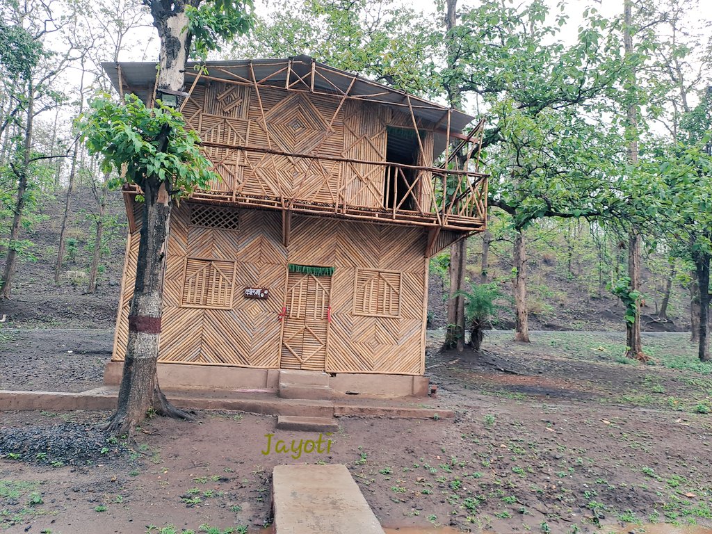 jayotibanerjee's tweet photo. On its 50th Yr #MelghatTigerReserve gifted #Pratikshalay to Melghat people thru Hon.MLA Melghat #RajkumarPatelji
Built of fallen Logs+Bamboos by #KorkuArtisans
Local MannaBhai had requested for a #WaitingHall in Semadoh for travellers due to night restriction inside core #MTR https://t.co/5PyrHOphIx