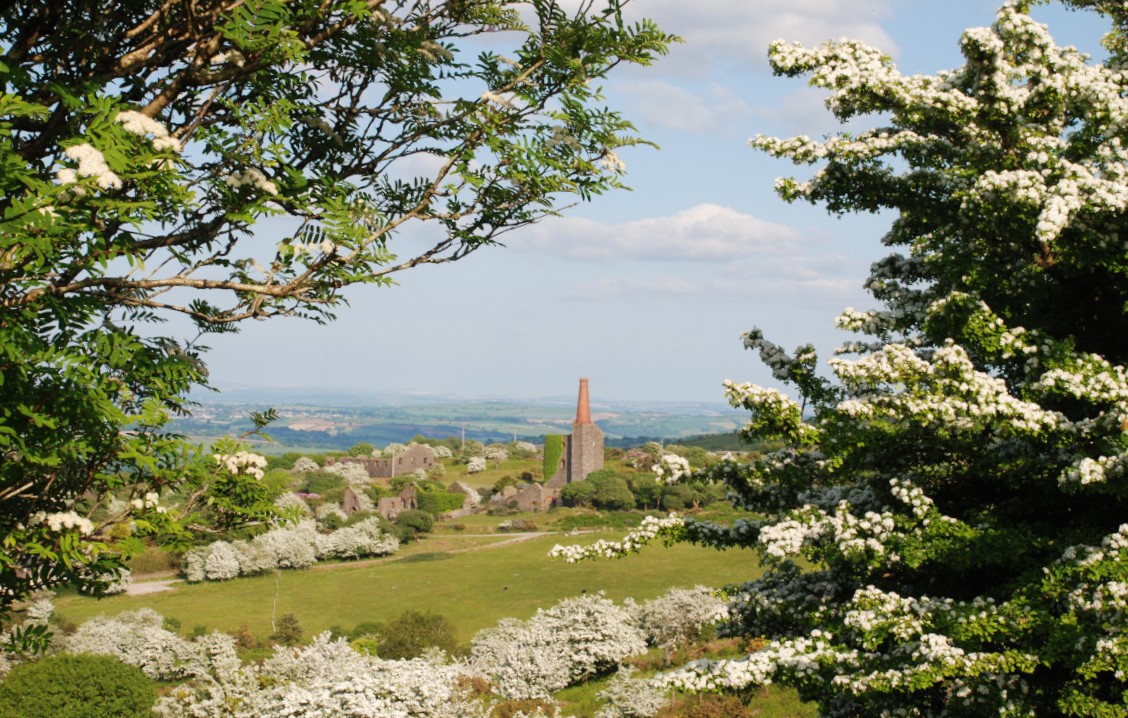 CornishMining's tweet photo. What an amazing year it's been for hawthorn blossom! 
Thank you to Carlton Crouch for sending us these beautiful photos of Minions, part of the Caradon Mining District of the #cornishmining #worldheritagesite
#princeofwalesmine #phoenixunitedmine #ourminingworld #hawthornblossom https://t.co/pCk3YCmcMo