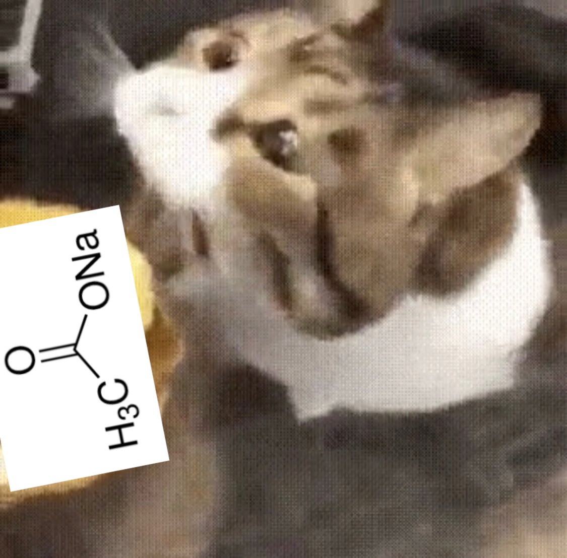 Chemical Of The Day on Twitter "Fun fact Did you know sodium acetate