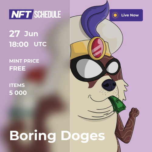 ☄️Live Mint Now! Boring Doges

🐦Twitter: @boringdoges

🔗More info: nftschedule.online/event/boring-d…

#NFT #NFTs #NFTCommunity #nftcollector #nftarti̇st #nftlover #NFTGiveaway #NFTCommmunity #nftarti̇st #nftarti̇sts #NFTdrops #nftdrop #Ethereum #ETHNFTs