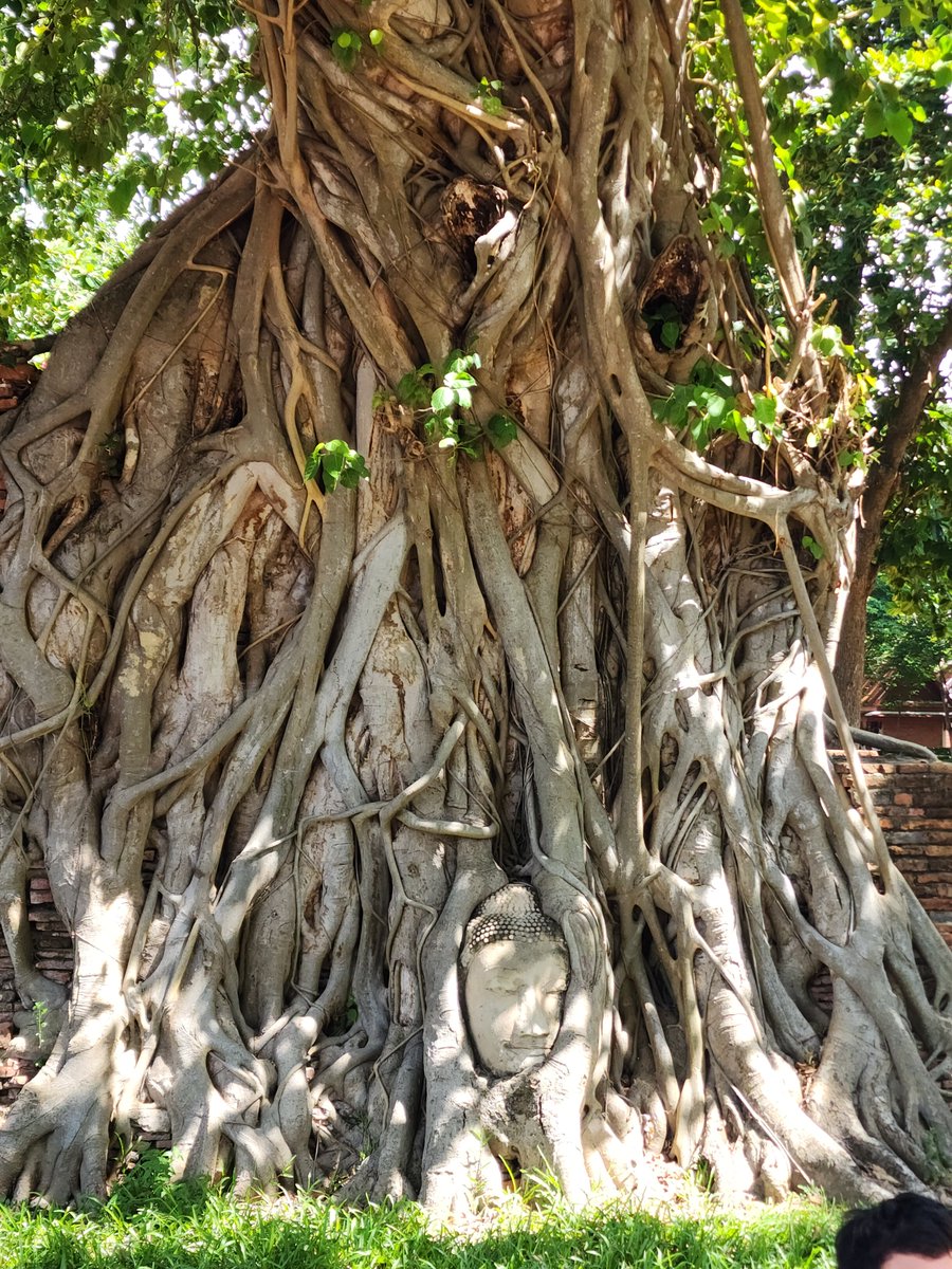 #Buddha sees all! A nice trip to the ancient kingdom of #Thailand #Ayutthaya #travel #travelphotography