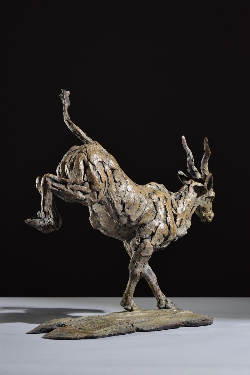 Eland 2019

hamishmackie.com/sculptures/ela…

#eland #antelope #onthemove #sculpture #capturingamoment #statue #artwork #inspiredbyafrica #africansafari #safari #safariafrica #safarianimals #africananimals #africanwildlife #contemporaryart #contemporarysculpture #artcollector