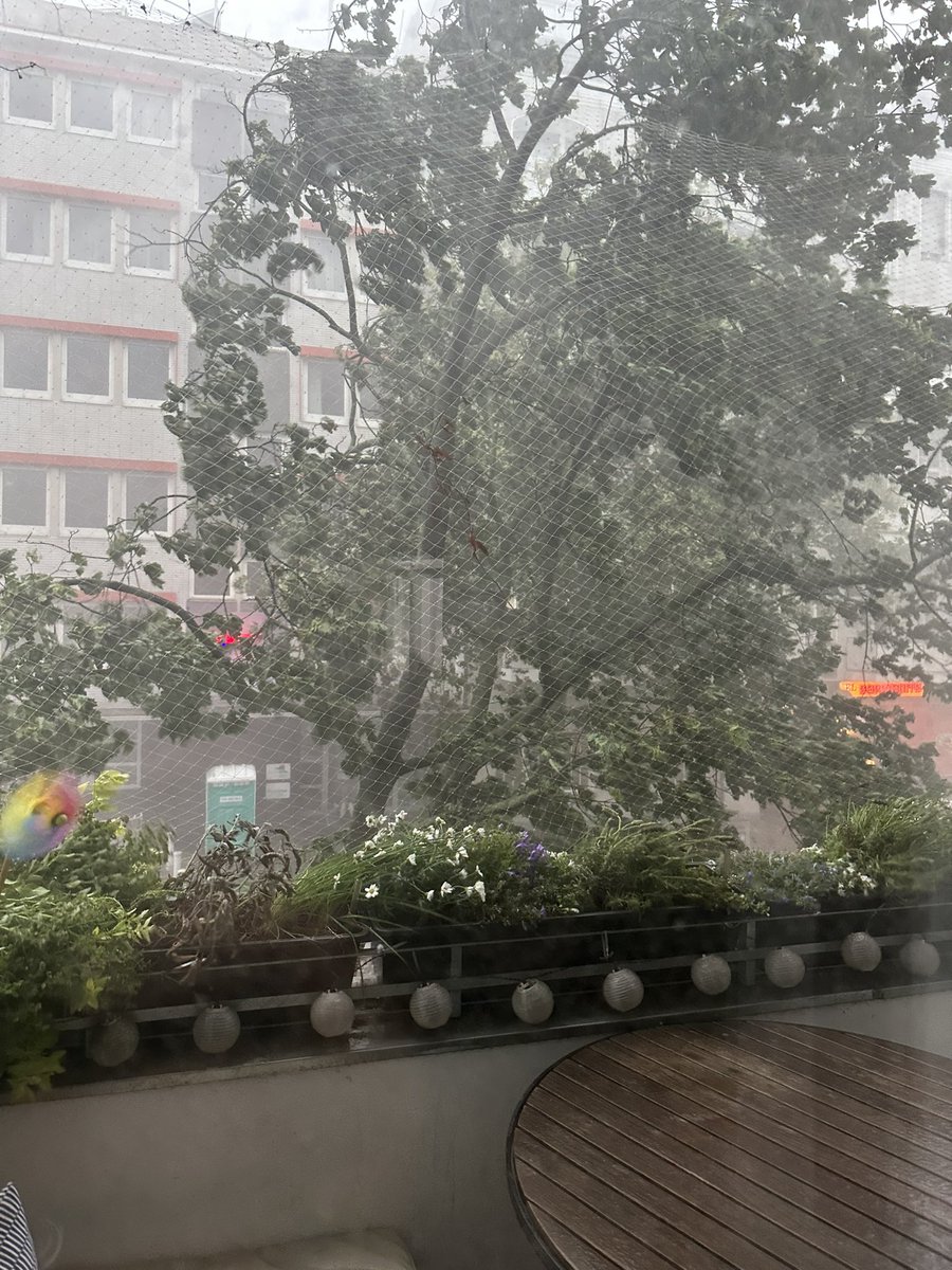 Sabine Gillessen tweet media