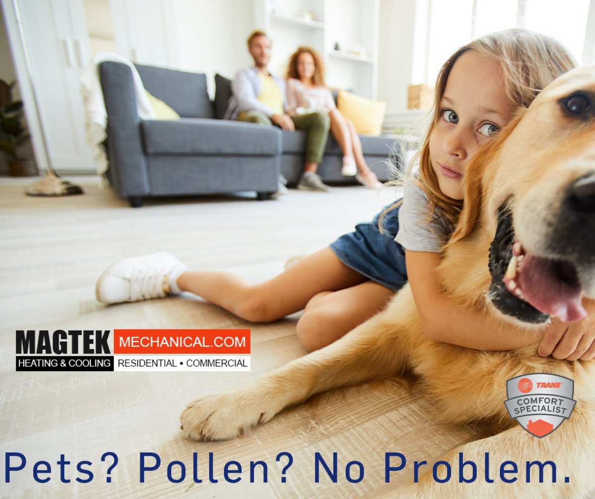 If you want to feel better about the air in your home, take the next step, and request a visit from us to learn what indoor air quality solutions are best!
#indorrairquality #breathe #betterindoorair #airpurification