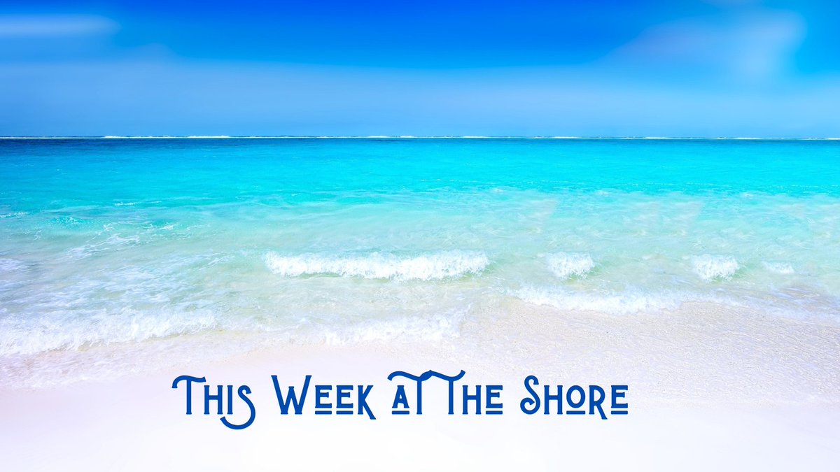 x.com/shoreblog