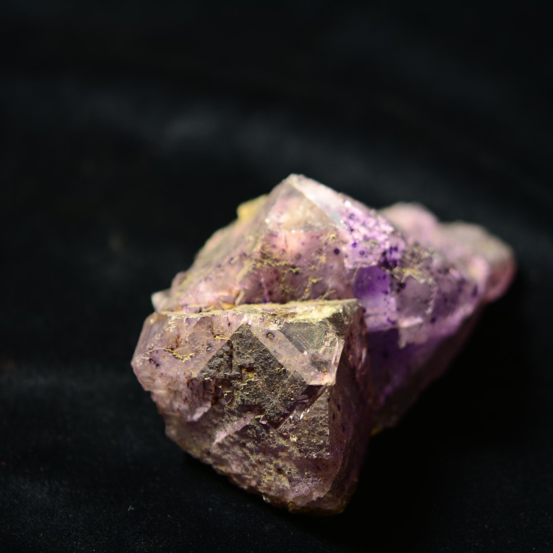 🌎For #MineralMonday, beautiful fluorite...

UV light excites electrons in fluorite, causing them to emit bursts of visible light resulting in temporary colour change.

#FluorescentMinerals #FluoriteMagic #brlsi #bath #exhibition #geology #science #uvlight