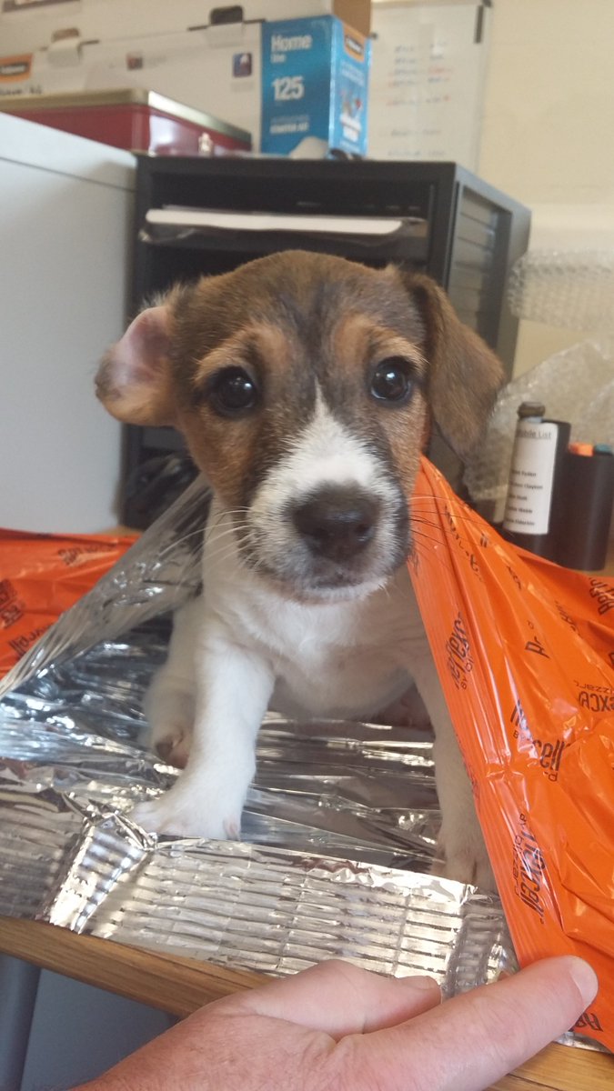 Whatever #adventures youre #planning this #summer make sure that you #pack your #Blizzard #Blanket! As used by #mountainrescue &amp; #EMS #hypothermia #prevention #treatment #firstaid #survival #mountains #walking #cycling #running #climbing #rambling #nationalparks #eryri #Yrwyddfa