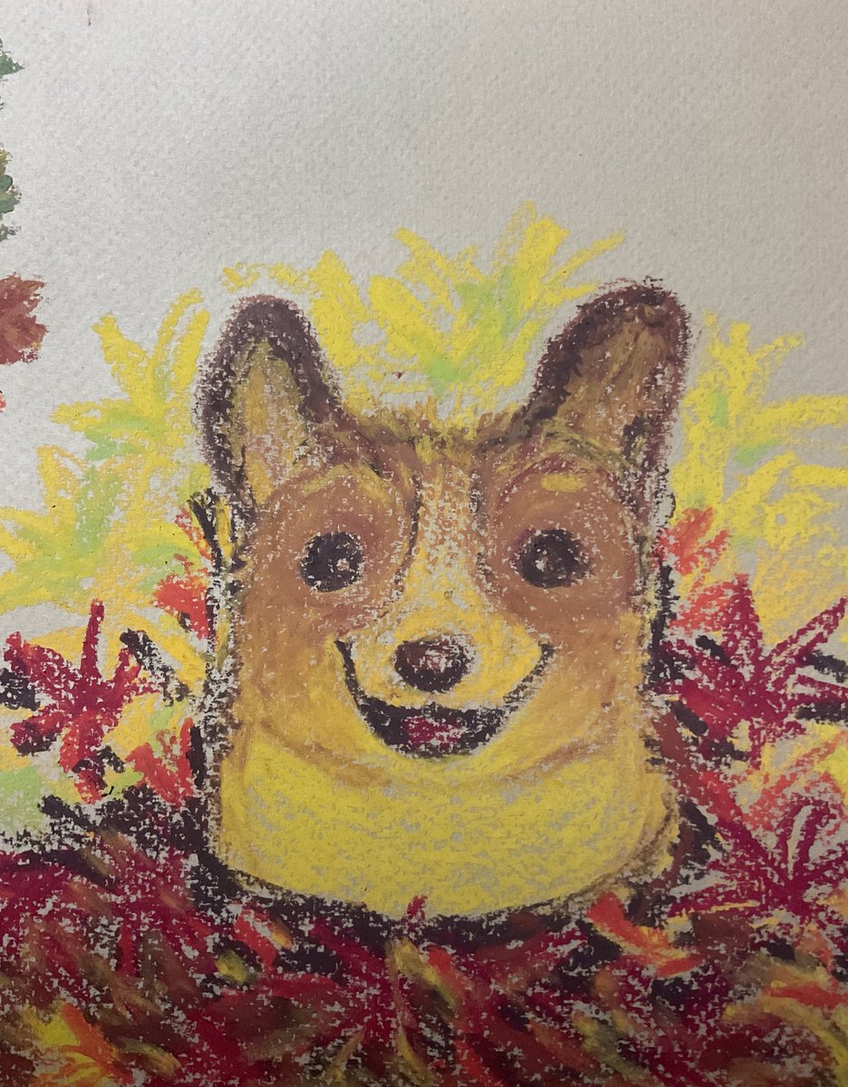 75kcalllll's tweet image. พ้มขำน้อง5555555 เริ่มรู้ตัวว่าวันนี้สีเหลือง แต่แดงนำมาก่อนเลยครับพ้ม รวบวันอาทิตย์ด้วย❤️💛⭐️🌝 #coloroftheday