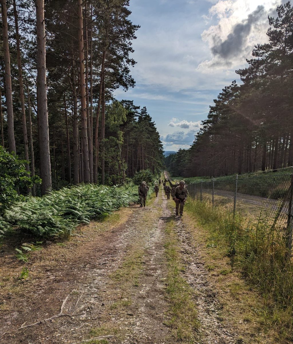 35 Engr Regt (EOD&S) tweet media