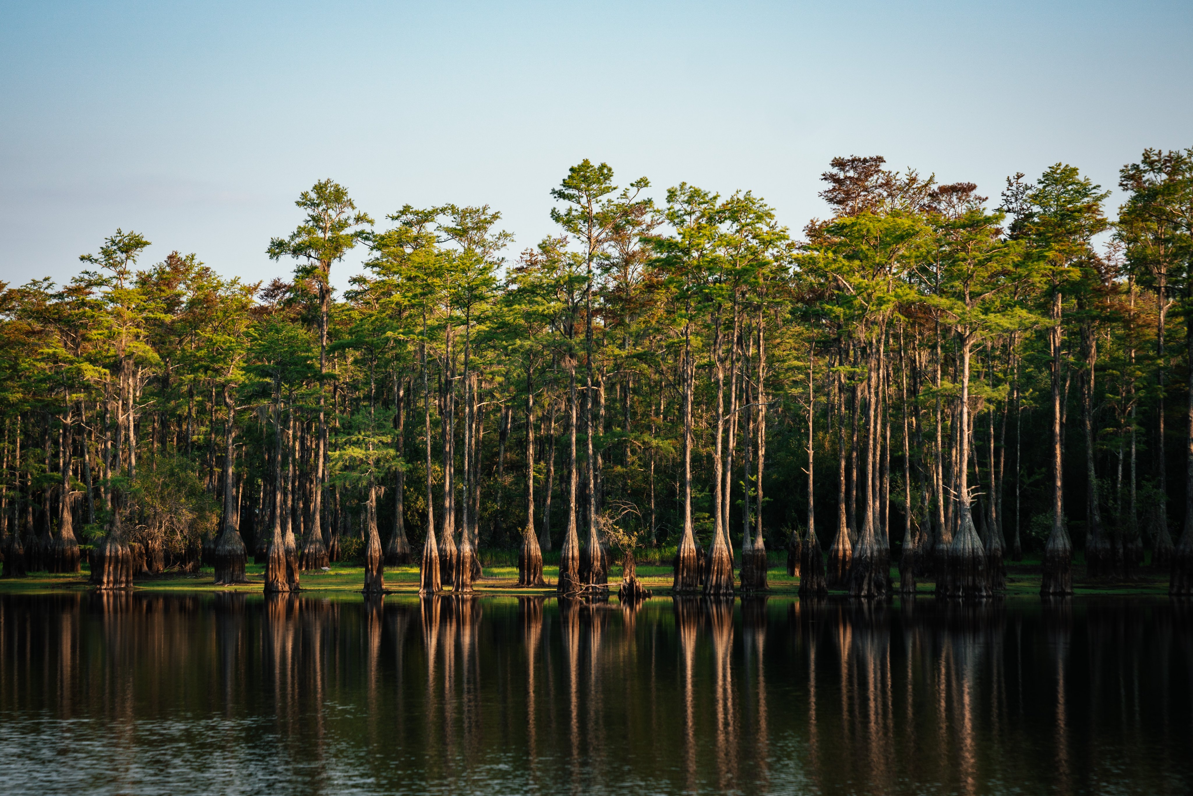 Erich on X: Cascade Lake in Tallahassee has mostly gone down into