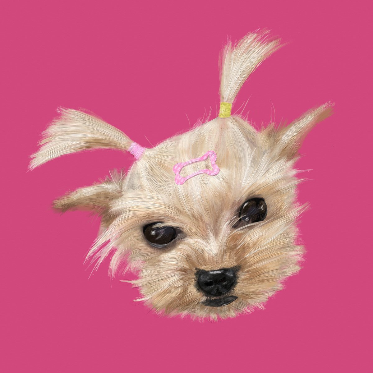 🦋Kate Kim🦋 (@katekitkatkitt2) on Twitter photo 