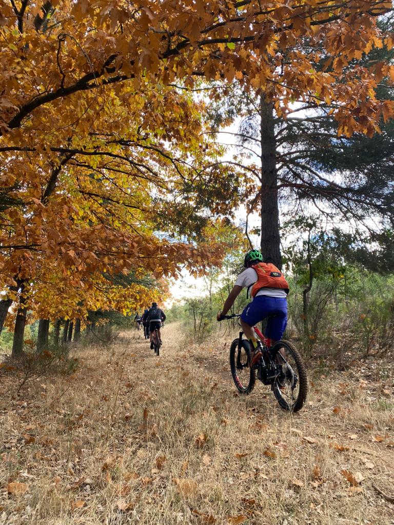 Junta de Castilla y León (@jcyl) on Twitter photo 🚵♂️<a href="/zonaalfaleon/">Zona Alfa León</a> abre al público para convertirse en un nuevo reclamo para el turismo de bicicleta de montaña en #León
🔹 120 km en 19 recorridos con desnivel acumulado aproximado de 10.000 m.
🔹 Distintos niveles de dificultad
🔹 Senderos señalizados
comunicacion.jcyl.es/web/jcyl/Comun… 🚵♂️<a href="/zonaalfaleon/">Zona Alfa León</a> abre al público para convertirse en un nuevo reclamo para el turismo de bicicleta de montaña en #León
🔹 120 km en 19 recorridos con desnivel acumulado aproximado de 10.000 m.
🔹 Distintos niveles de dificultad
🔹 Senderos señalizados
comunicacion.jcyl.es/web/jcyl/Comun…