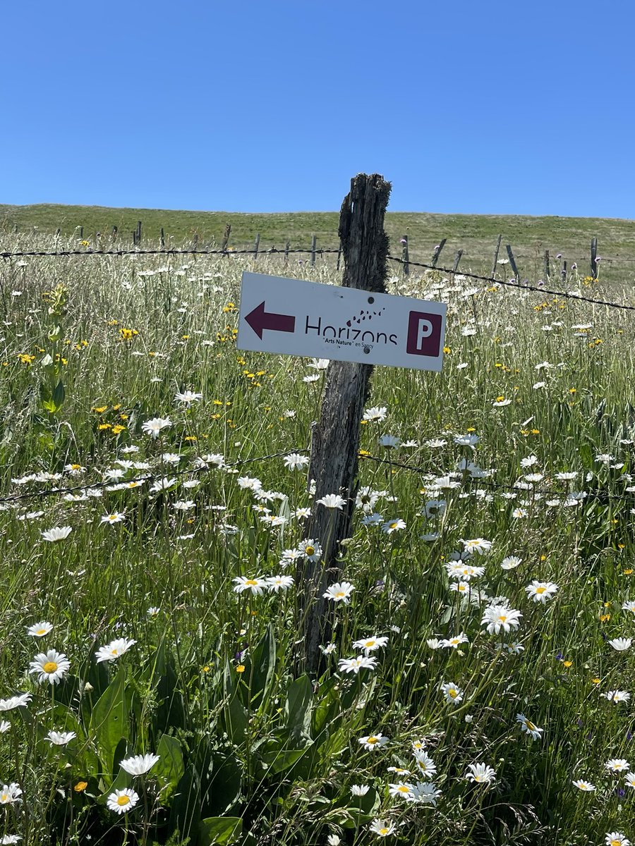 #lundiFleuri parmi les œuvres art et nature du festival Horizons Sancy