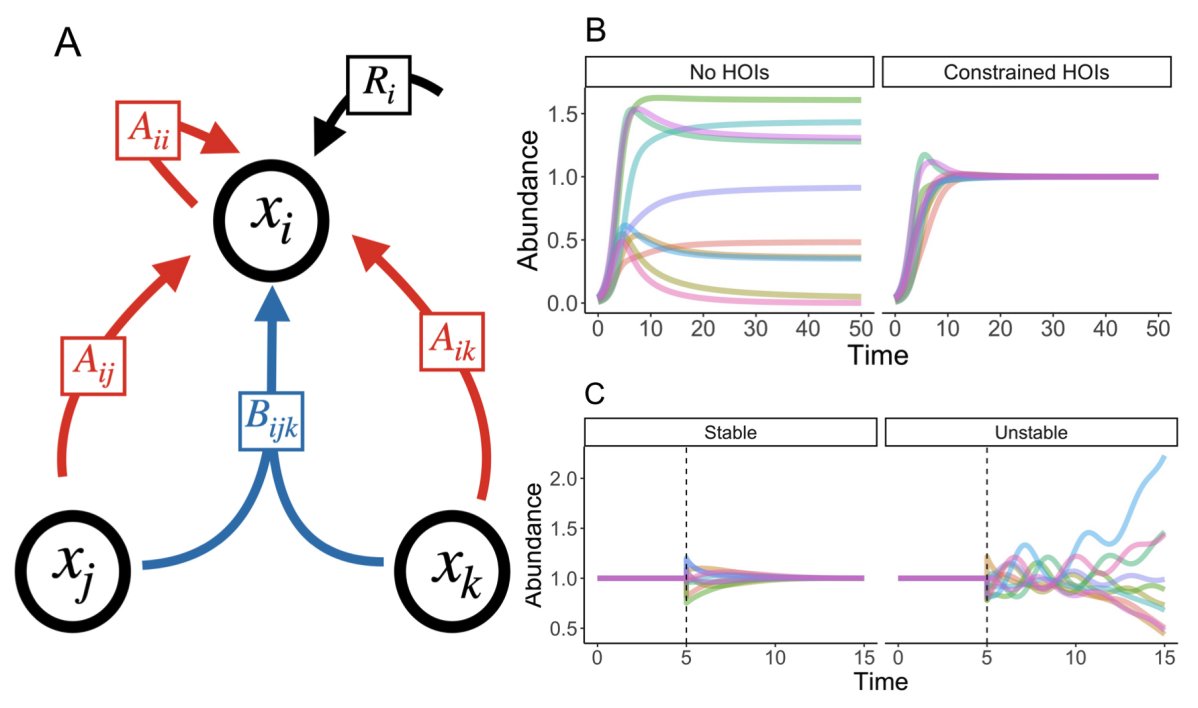 Theo Gibbs (@gibbstheo) on Twitter photo New preprint! W/ Gabriel Gellner, Simon Levin, @mccannlab, <a href="/eco_hastings/">Alan Hastings</a> and Jonathan Levine.
We ask, when pairwise species interactions exclude many species, can higher-order interactions rescue coexistence?
Preprint link: biorxiv.org/content/10.110…
More details below... New preprint! W/ Gabriel Gellner, Simon Levin, @mccannlab, <a href="/eco_hastings/">Alan Hastings</a> and Jonathan Levine.
We ask, when pairwise species interactions exclude many species, can higher-order interactions rescue coexistence?
Preprint link: biorxiv.org/content/10.110…
More details below...