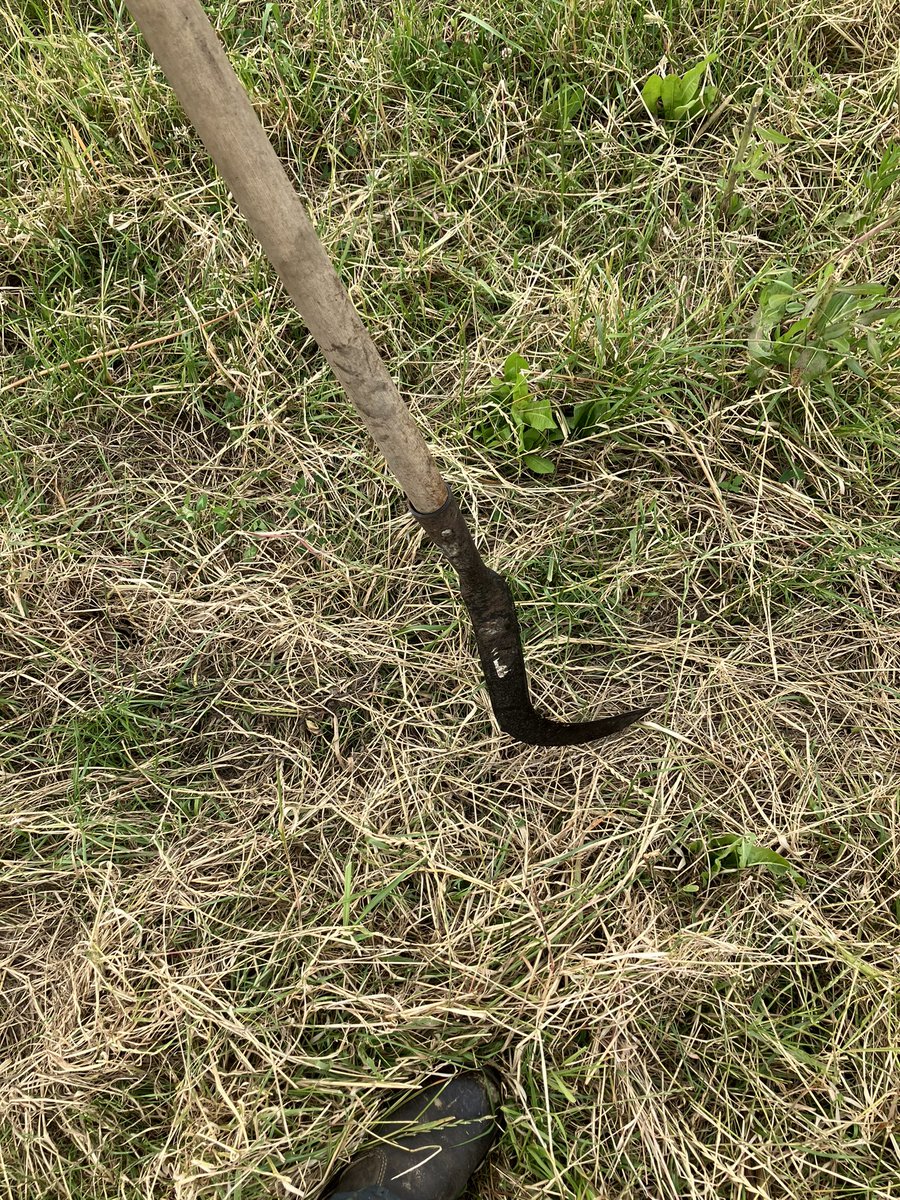 Middlehall farm tweet media