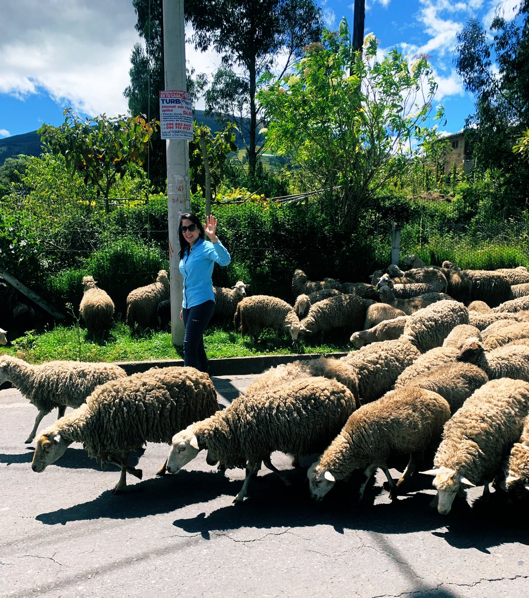 Luisa González tweet media