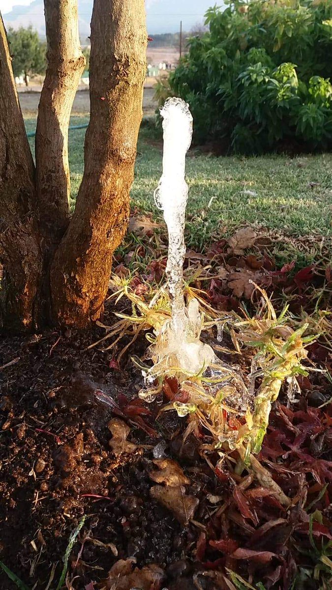 renier1901's tweet photo. #Memory photo from 5 years ago! What a #beautiful photo taken by my #dad that morning. Water from a pipe dripped and froze. #photography #cold #frozen https://t.co/4Ty85AuZQ0