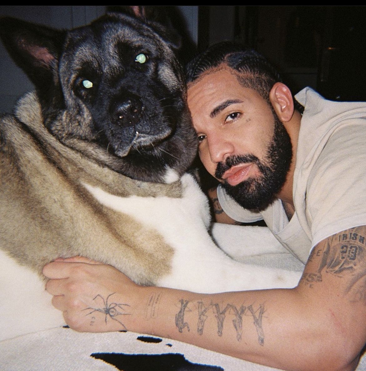 PowerFMRwanda's tweet photo. Drake's next album "For All The Dogs" would be composed of 12 songs featuring Ice Spice &amp; Yeat.  

Each piece would be a dedication to a pet he had in his life.

 https://t.co/Kw7TdVQbDn https://t.co/B7zAHFGk0o