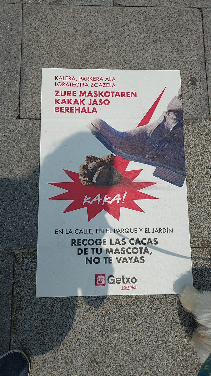 Animalistas Euskadi tweet media