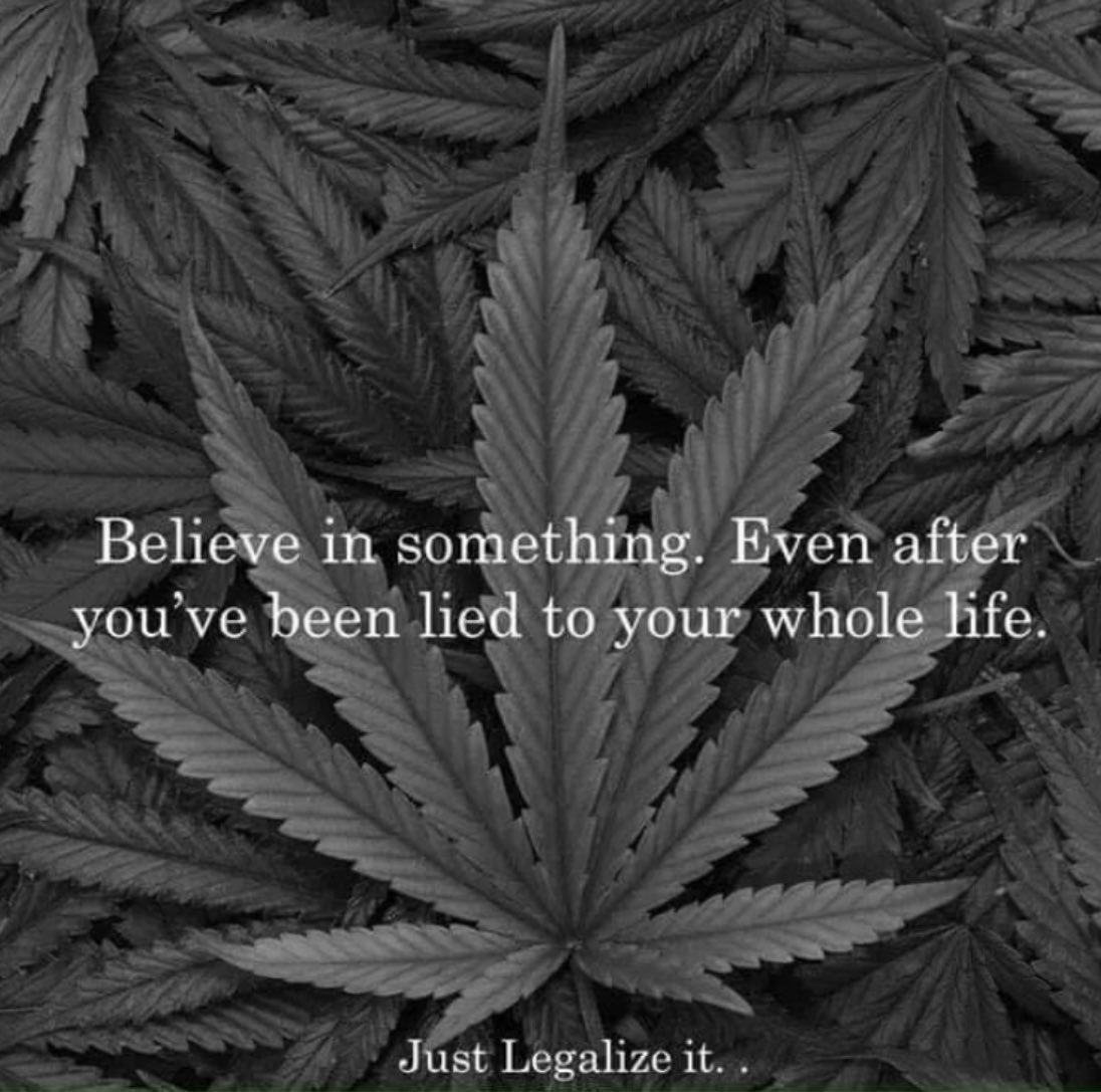 We know the truth! We’ve done the research. We’ve spoken to people who have seen the results. We’ve spoken to doctors & politicians. We know the truth!! #Cannabis #LegalizeIt #CannabisCommunity #Mmemberville