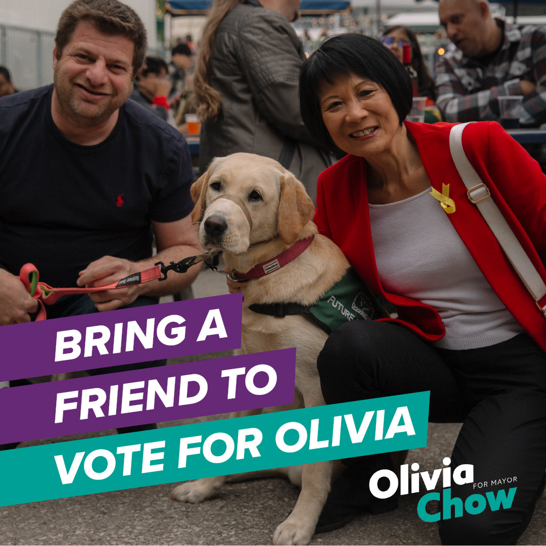 Grab a friend and go vote! ⏰ Polls open 10AM - 8PM 📍 Your local voting location ✏️ #25 on the ballot 🆔 Bring ID with your name + address ➡️ Find out where to vote: oliviachow.ca/voteplan
