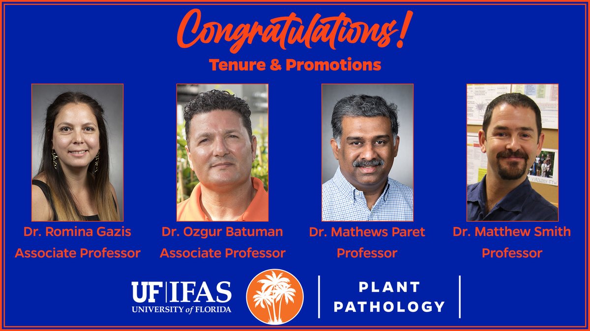Congratulations to @ufplantpath faculty members on their tenure and promotions:

Dr. Romina Gazis and Dr. Ozgur Batuman have been promoted to the rank of Associate Professor and awarded tenure.

Dr. Mathews Paret and Dr. Matthew Smith have been promoted to the rank of Professor.