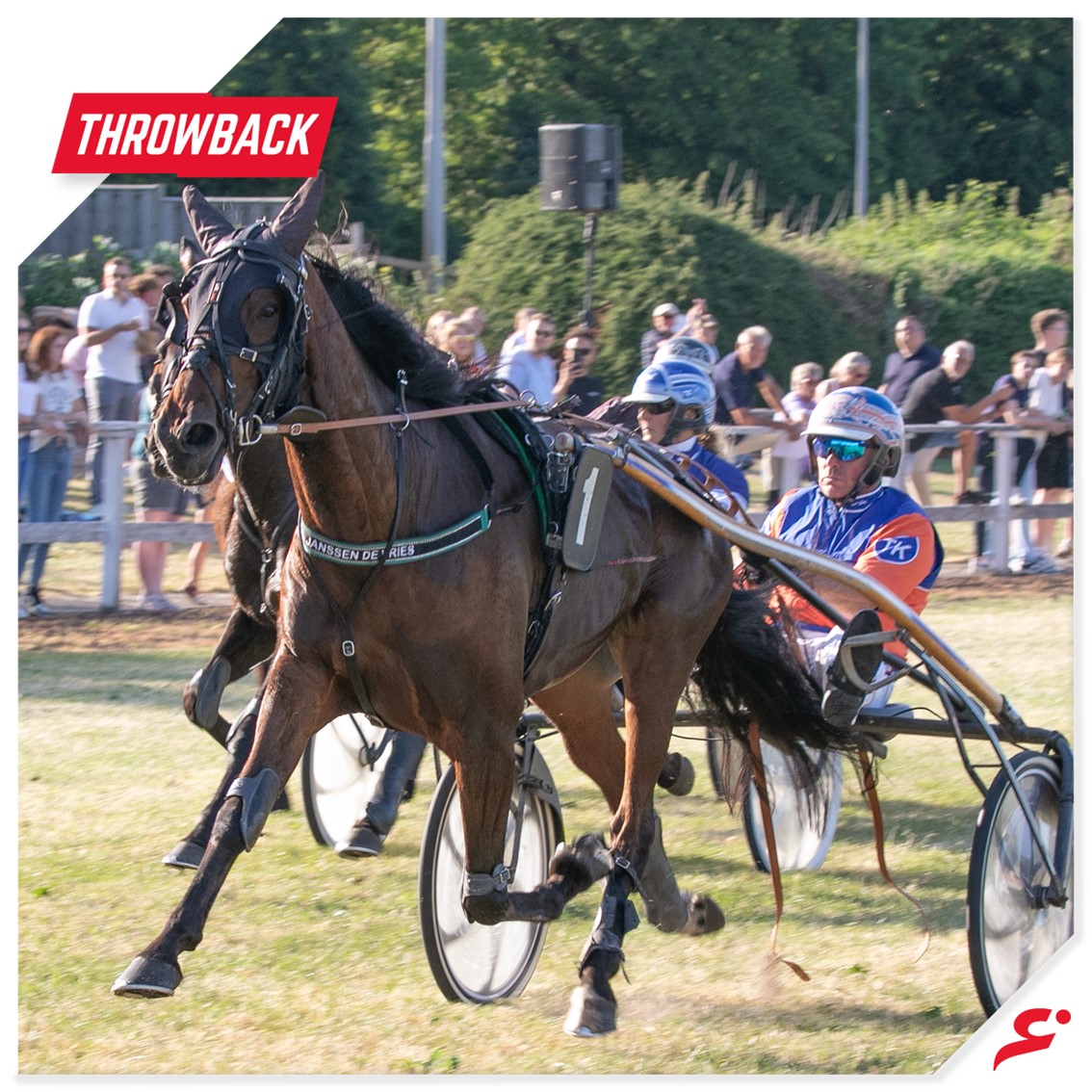 Afgelopen woensdag heeft 𝐓𝐨𝐦 𝐊𝐨𝐨𝐲𝐦𝐚𝐧  maar liefst 𝐯𝐢𝐣𝐟 𝐫𝐚𝐜𝐞𝐬 gewonnen op 𝐄𝐦𝐦𝐞𝐥𝐨𝐨𝐫𝐝. Dit is hem ooit eerder gelukt, maar dan op de baan van Nootdorp, 27 jaar geleden. 🏆

#Emmeloord #Grasbaan