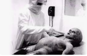 sergiofer90's tweet photo. @ParanormalDoc Y el supuesto video donde examinan un supuesto cuerpo ET, seria montaje también? https://t.co/HCs9S1ApPG