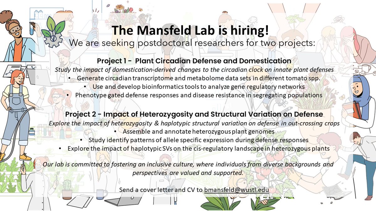 🎉It's happening!🎉 The *new* Mansfeld Lab @WUSTLBio is recruiting #PostDocs! If you are interested in plant-biotic interactions at a systems scale, want to work on genome assembly & transcriptional networks + more? Join our group! DM for some more info... pls RT!!