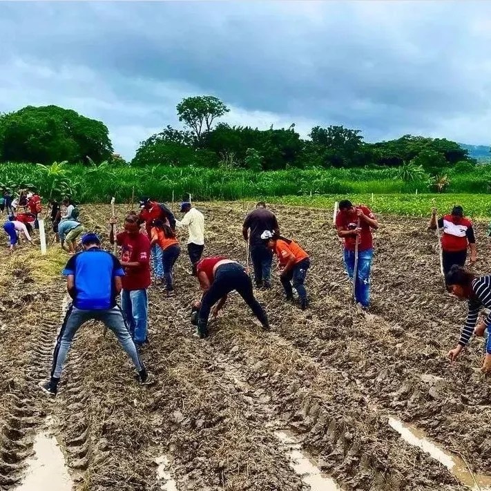 cheanahis's tweet photo. Junto al equipo del @ffm_oficialvzla  @FFM_Aragua_Ofic  estuvimos en la escuela agroecológica "Indio Rangel" cumpliendo las orientaciones de nuestro presidente @NicolasMaduro  de ser más productivo, allí sembramos Caraota y Ají, como parte de la celebración los 20 años del #FFM. https://t.co/PwJB7nQ3Wt