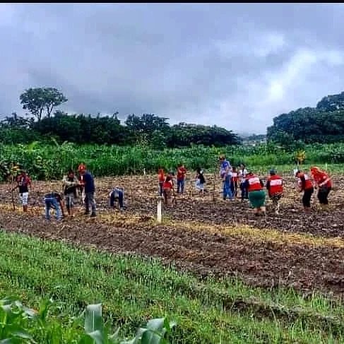 cheanahis's tweet photo. Junto al equipo del @ffm_oficialvzla  @FFM_Aragua_Ofic  estuvimos en la escuela agroecológica "Indio Rangel" cumpliendo las orientaciones de nuestro presidente @NicolasMaduro  de ser más productivo, allí sembramos Caraota y Ají, como parte de la celebración los 20 años del #FFM. https://t.co/PwJB7nQ3Wt