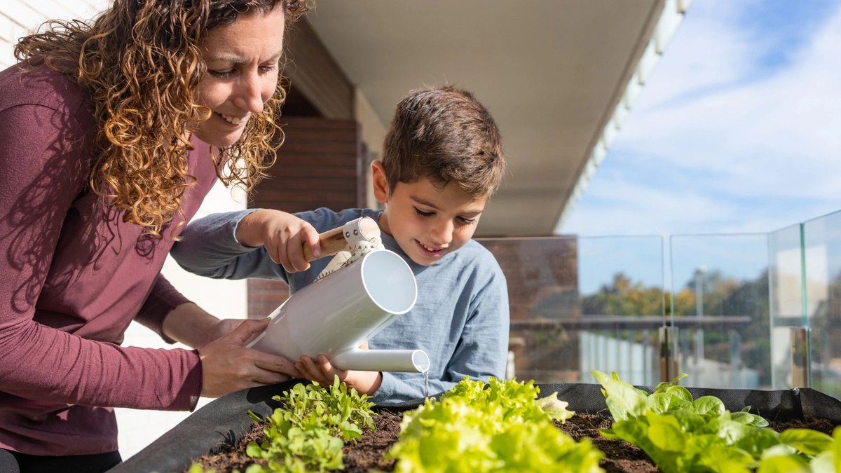 Want to be a homesteader but have little or no land? Your dream is still possible. #homesteading #homesteader #urbanhomesteading 
oldschoolsurvivalbootcamp.com/f/urban-homest…