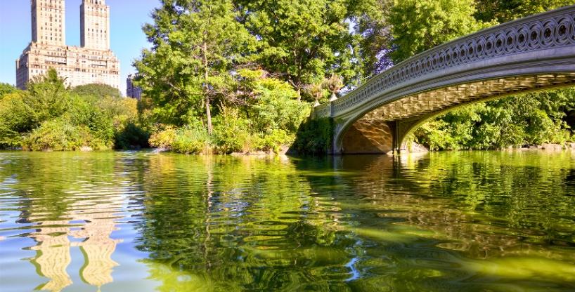 PCMA: NY Chapter tweet media