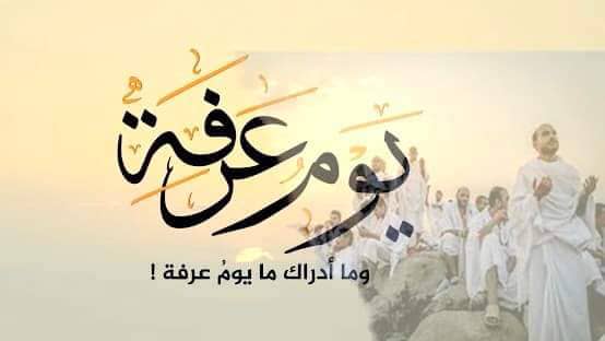 د عرفات ورځې د روژې فضلیت
 د أبي قتاده (ض) نه روایت دې چې د رسول الله ﷺ نه د عرفې د ورځې د روژې په اړ ه وپوښتل شو نو رسول الله ﷺ په ځواب کې وفرمایل  چې د تیر او راتلوکي کلونو ګناهونه پرې معاف کیږي.
(رواه الإمام مسلم).
