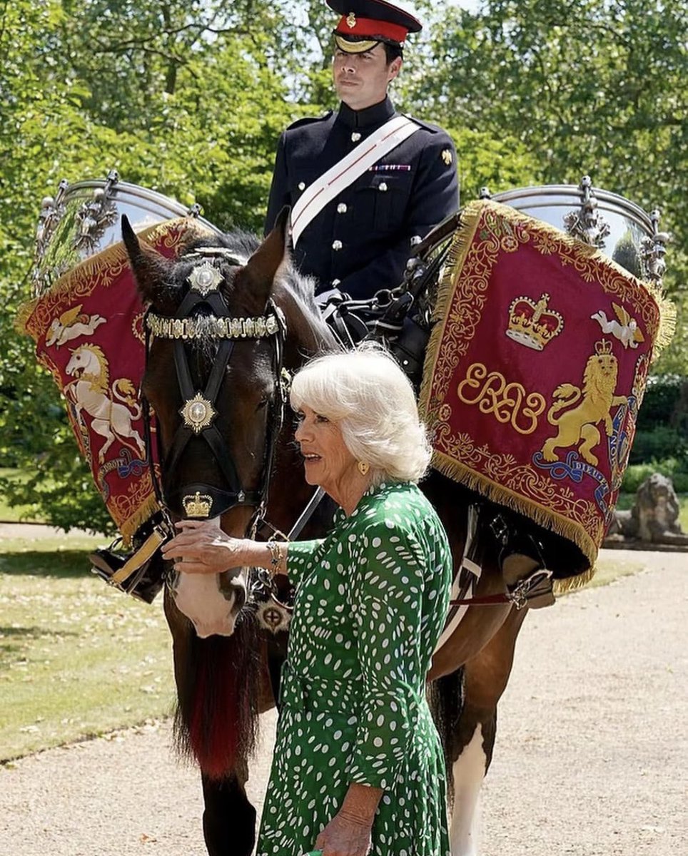 Happy Monday! The Queen named the lead horse for Trooping the Colour! Presenting Juno