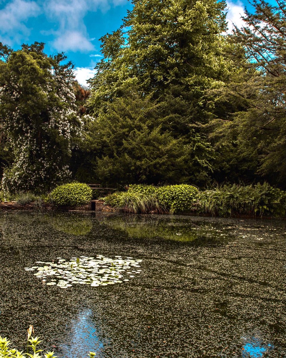 A walk through The National Botanic Gardens of Ireland, Kilmacurragh
🪷🌹🌾🌸🌷🌺🌼
#botanicgarden #photooftheday #Wicklow #explore #photograghy #portrait #NaturePhotograhpy #outdoors #Ireland #wanderlust #redlips #naturelovers #flowerphotography #landscapephotography #landscape