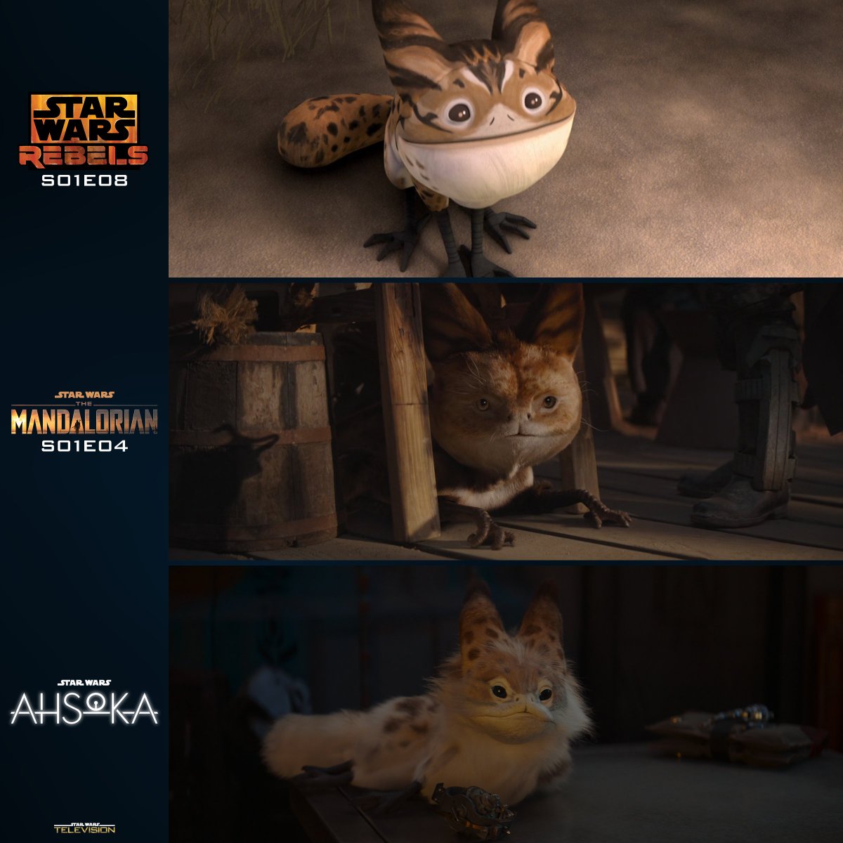 Loth-cats in #StarWarsRebels, #TheMandalorian and #Ahsoka!