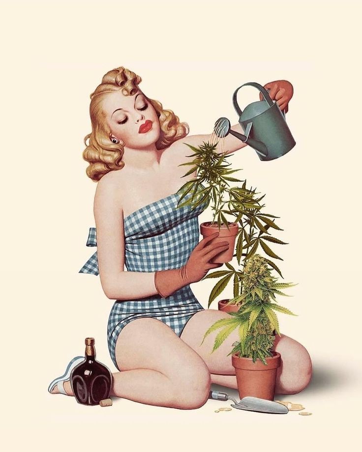 I'm just trying to be in my garden again butttttt I ran out of pots 😬
#WeedLovers #stonergirl #StonerFam #CannabisCommunity #Mmemberville #weedlife #stonerqueen #stonerlife #weedqueen #plantlady