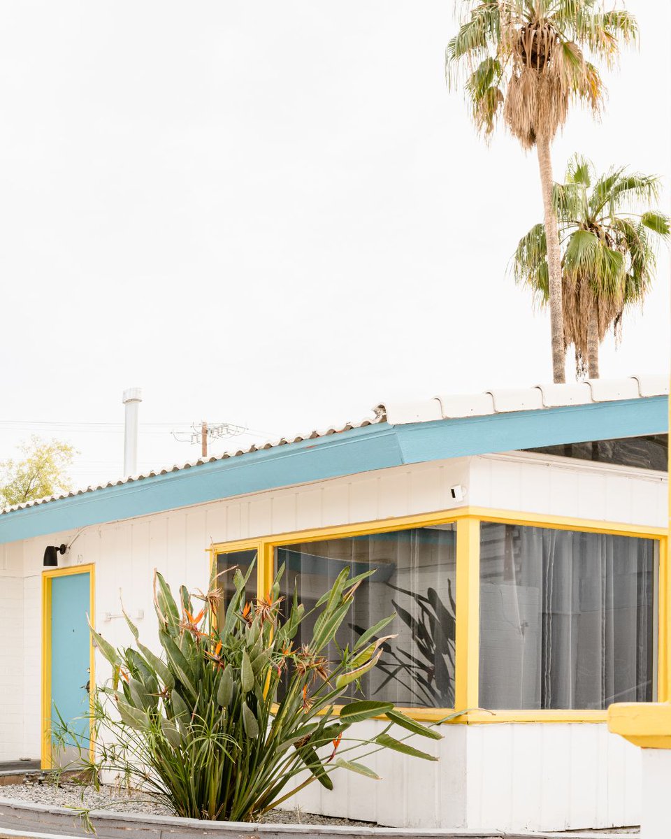 In a city known for mid-century modern design, Lindsey Kurowski ensures a neglected motel in Palm Springs, CA, stands out from the crowd. Watch a new episode of #MotelRescue tonight at 8/7c on #MagnoliaNetwork.

Ways to watch:
TV, @streamonmax, @discoveryplus