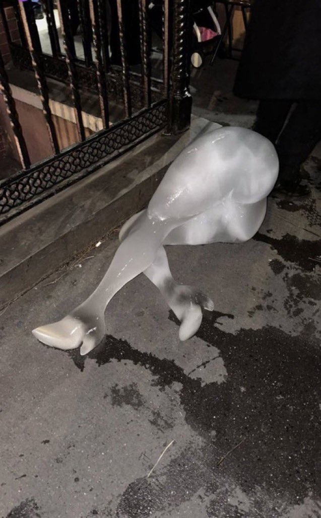 GothHroth's tweet photo. shiva after being beaten by the wol https://t.co/skUMYCAIBj